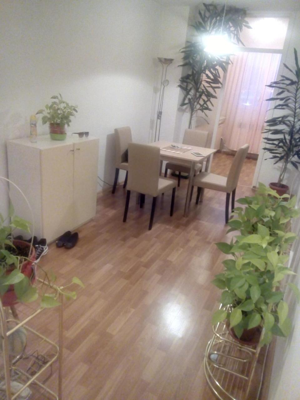 סראייבו Apartment Alipasino מראה חיצוני תמונה